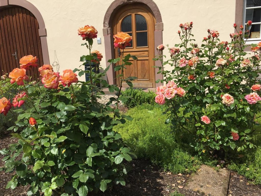 Ferienwohnung In Historischem Bauernhaus In Der Eifel Mettendorf Ngoại thất bức ảnh